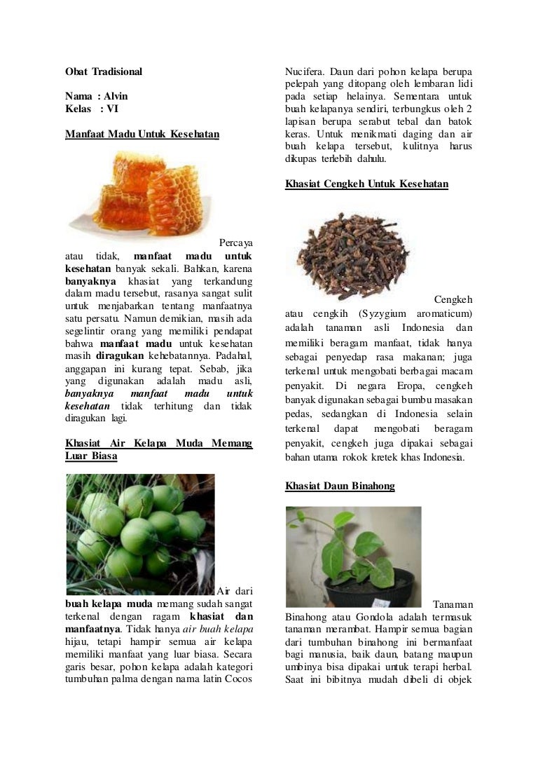 Obat Tradisional