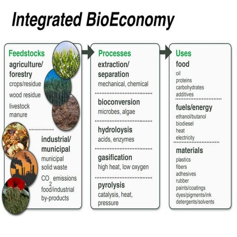 Bio-based products - Opportunities and Challenges | PDF