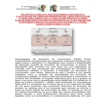 Obesos grelina e obestatina grelina aumenta fome e obestatina inibe ingestão ...