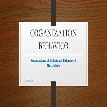 OB foundations of individual behaviour and motivation