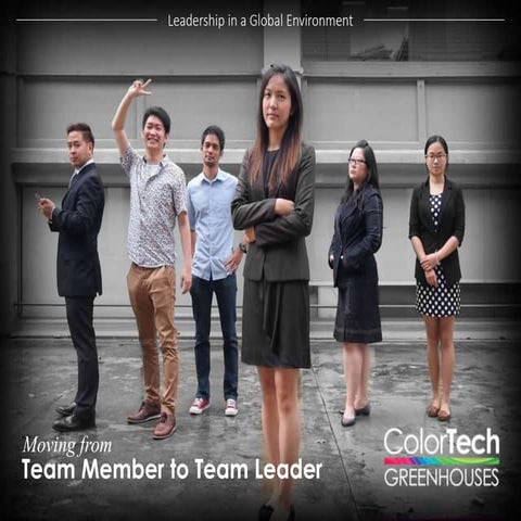 OBHR601 Session 6: Moving from Team Member to Team Leader