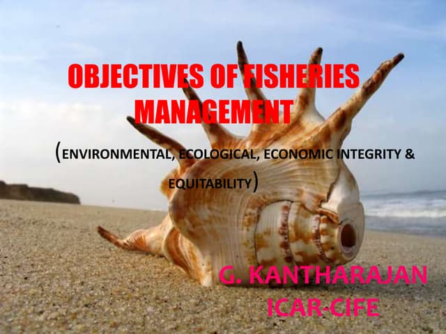 OBJECTIVES OF FISHERIES MANAGEMENT 