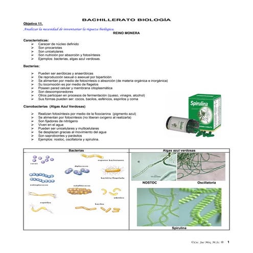 Objetivo 11 resumen ilustrado