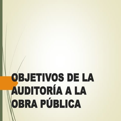OBJETIVOS DE LA AUDITORÍA A LA OBRA PÚBLICA.pptx
