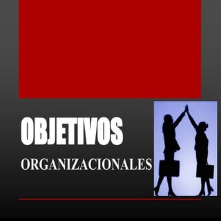 Objetivos organizacionales