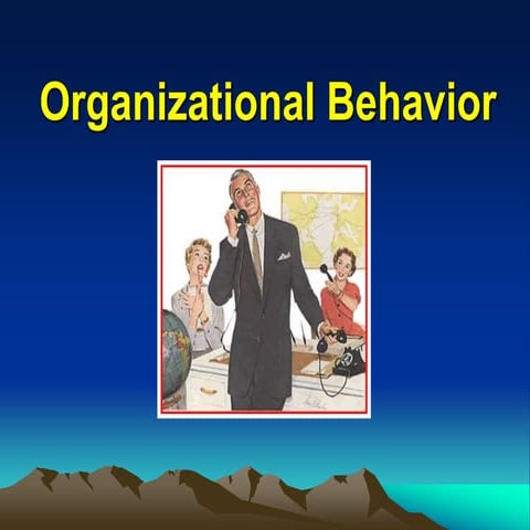 Organizational Behavior