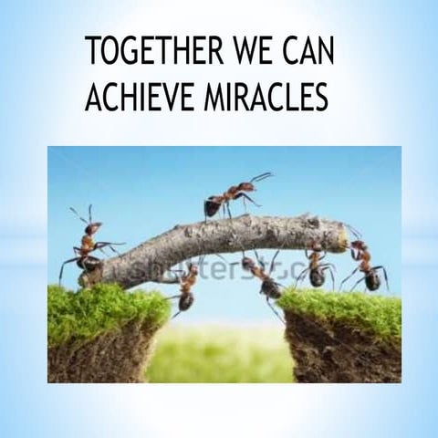 Group and team dynamics