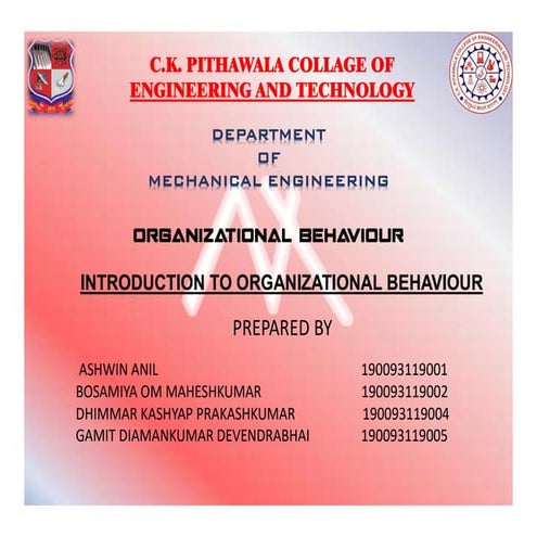 ORGANIZATIONAL BEHAVIOUR