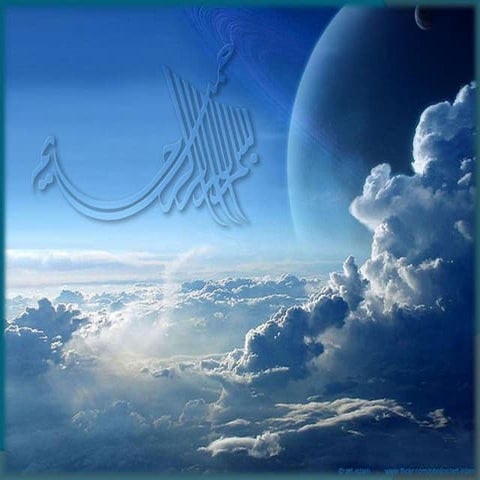 leadership & followership