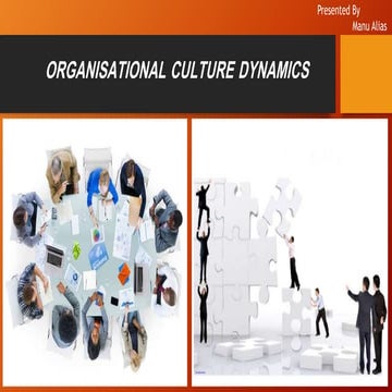Organizational Culture Dynamics (Organizational Management)