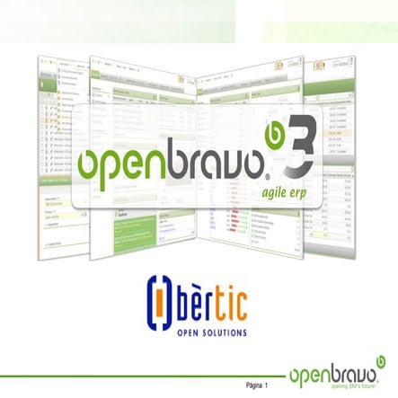 Obèrtic  - Presentación Openbravo ERP