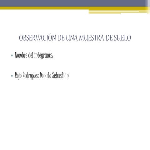 Observación de una muestra de suelo 