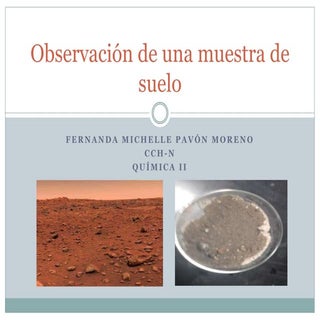 Observación de una muestra de suelo