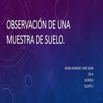 Observación de una muestra de suelo