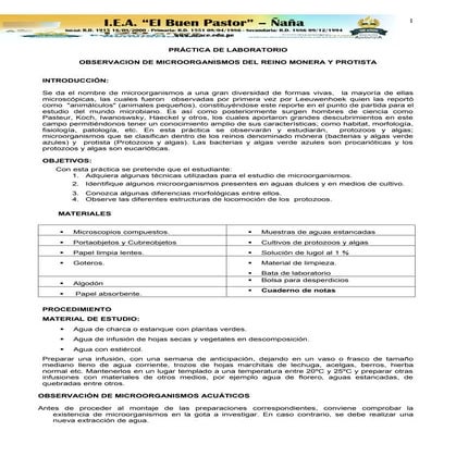 Observacion de-microorganismos (1)
