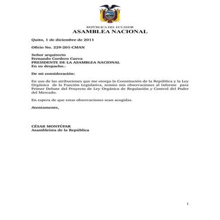 Observaciones al Informe  para Prim...