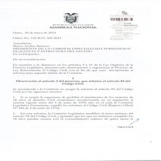 Observaciones al Proyecto de Ley Re...