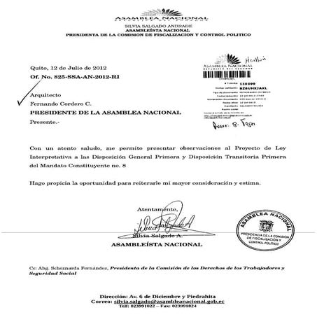 Observaciones proyecto ley interpretativa mandato constituyente 8