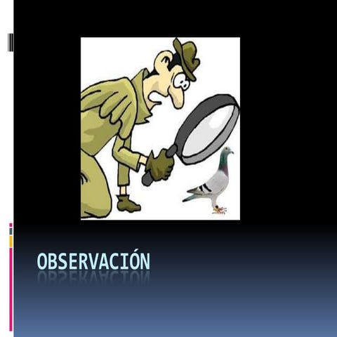 Observacion participante