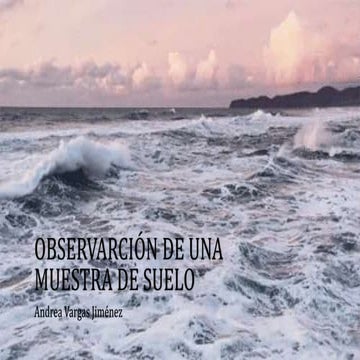 Observarción de una muestra de suelo