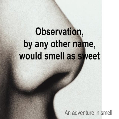 Observation by smell | PDF
