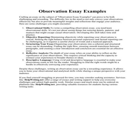 Observation Essay Examples.