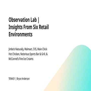 Observation Lab - Insights From Six Retail Environments