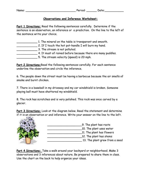 Observations And Inference Worksheet