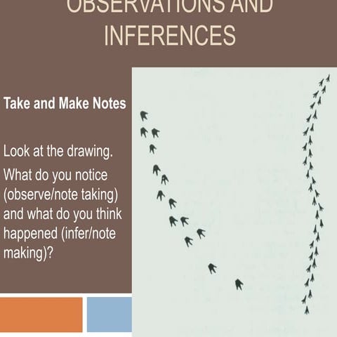 Observations and Inferences