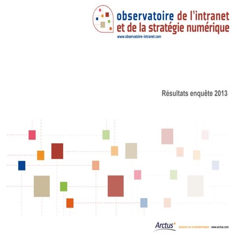 Observatoire intranet-2013-synthèse