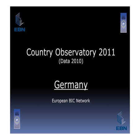 BIC Observatory 2011 - Italy | PDF