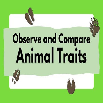 Observe and Compare Animal Traits - English | PDF