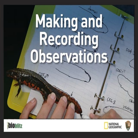 Observing And Recording Power Point