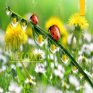 Obsessive-Compulsive disorder