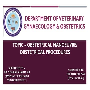 Obstetrical Procedures in Veterinary Obstetrics