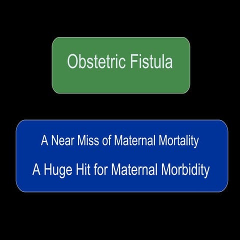 Obstetric Fistula