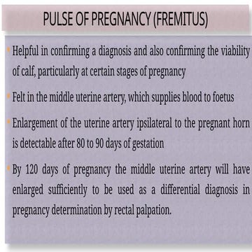 obstetrical conditions of domestic animals.pptx