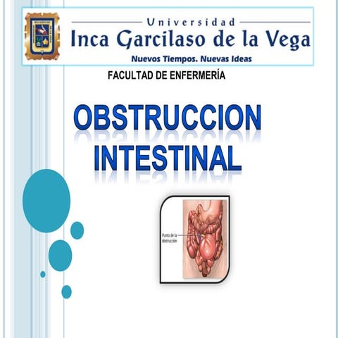 Obstruccion intestinal