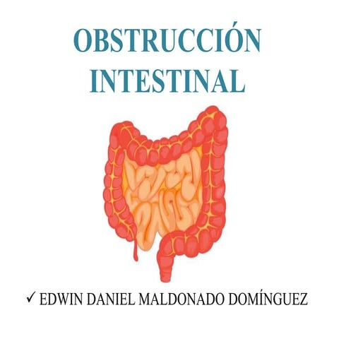 Obstruccion Intestinal