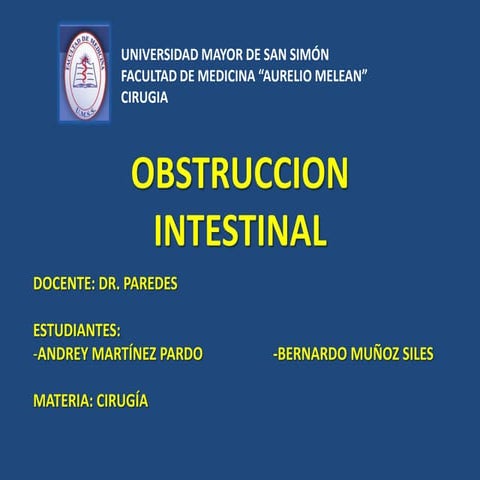 Obstruccion intestinal