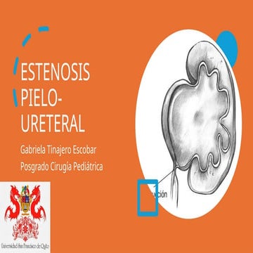 Obstruccion pielo ureteral opu cirugia pediatrica.pptx