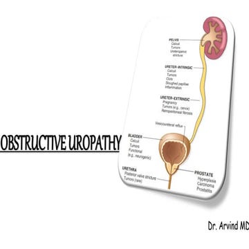 OBSTRUCTIVE UROPATHY PPT.pptx