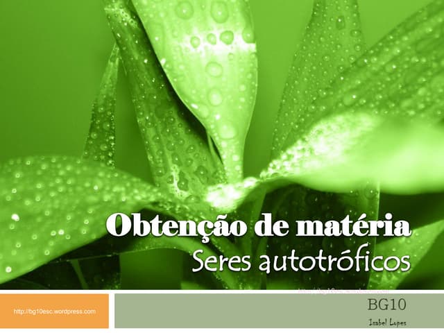 Obtenção de matéria   seres autotró...