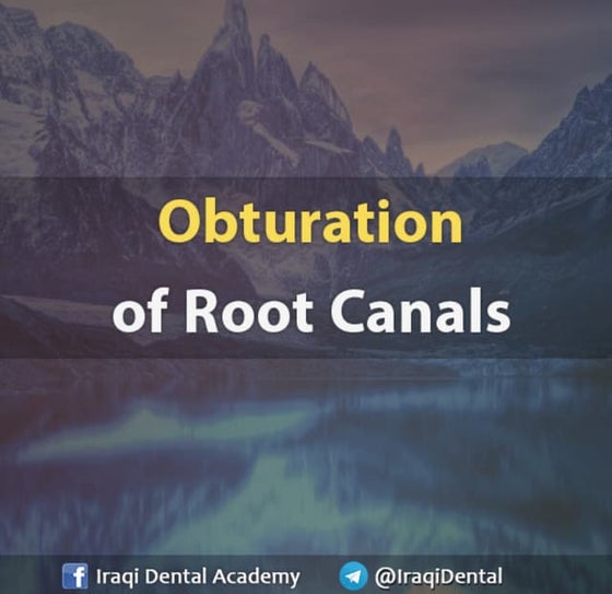 Endodontic Access Opening and Canal Location | PDF