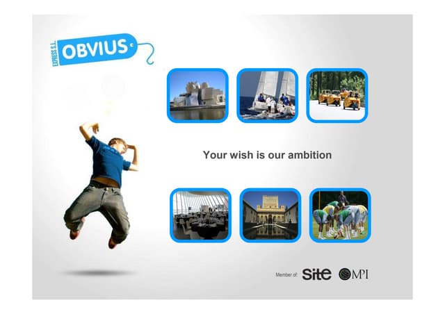 Obvius Brochure