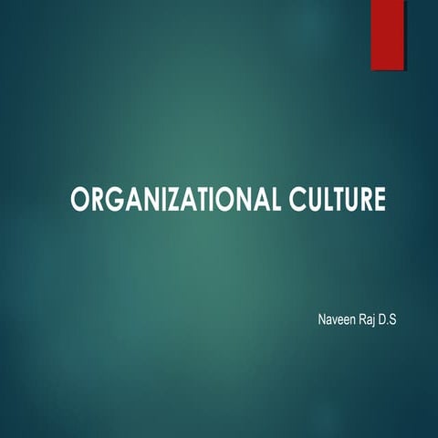 culture in organisation