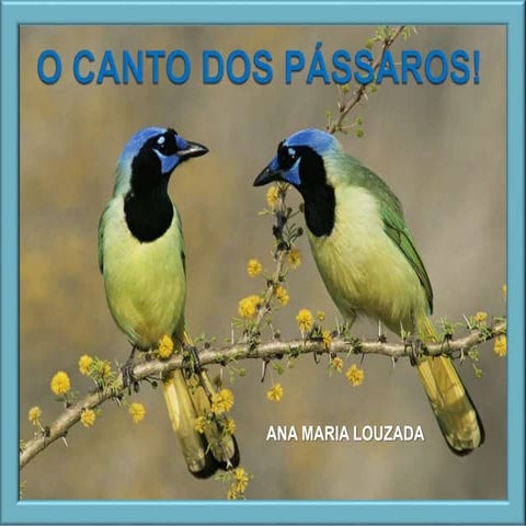 O canto dos pássaros | PPSX