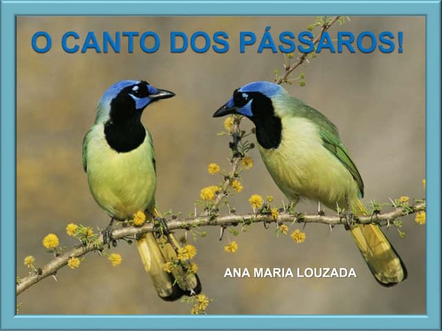 O canto dos pássaros | PPSX