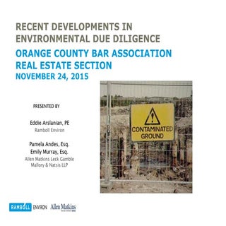 Recent Developments in Environmenta...