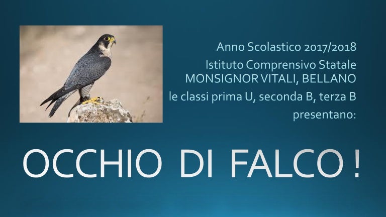 Occhio Di Falco